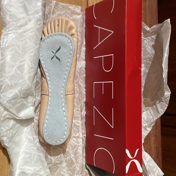 Daisy Ballet Shoe Size Toddler sizes Pink Capezio NWT - Picture 4 of 4